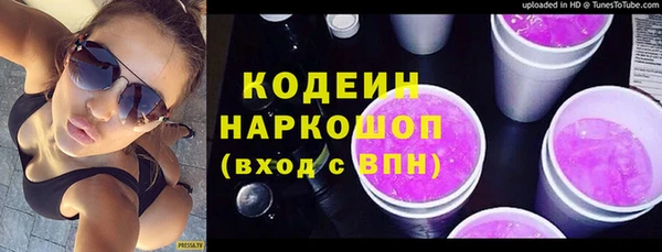 гашик Осинники